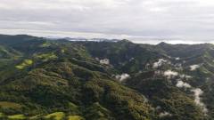 Neiborhood Eterna Miramar